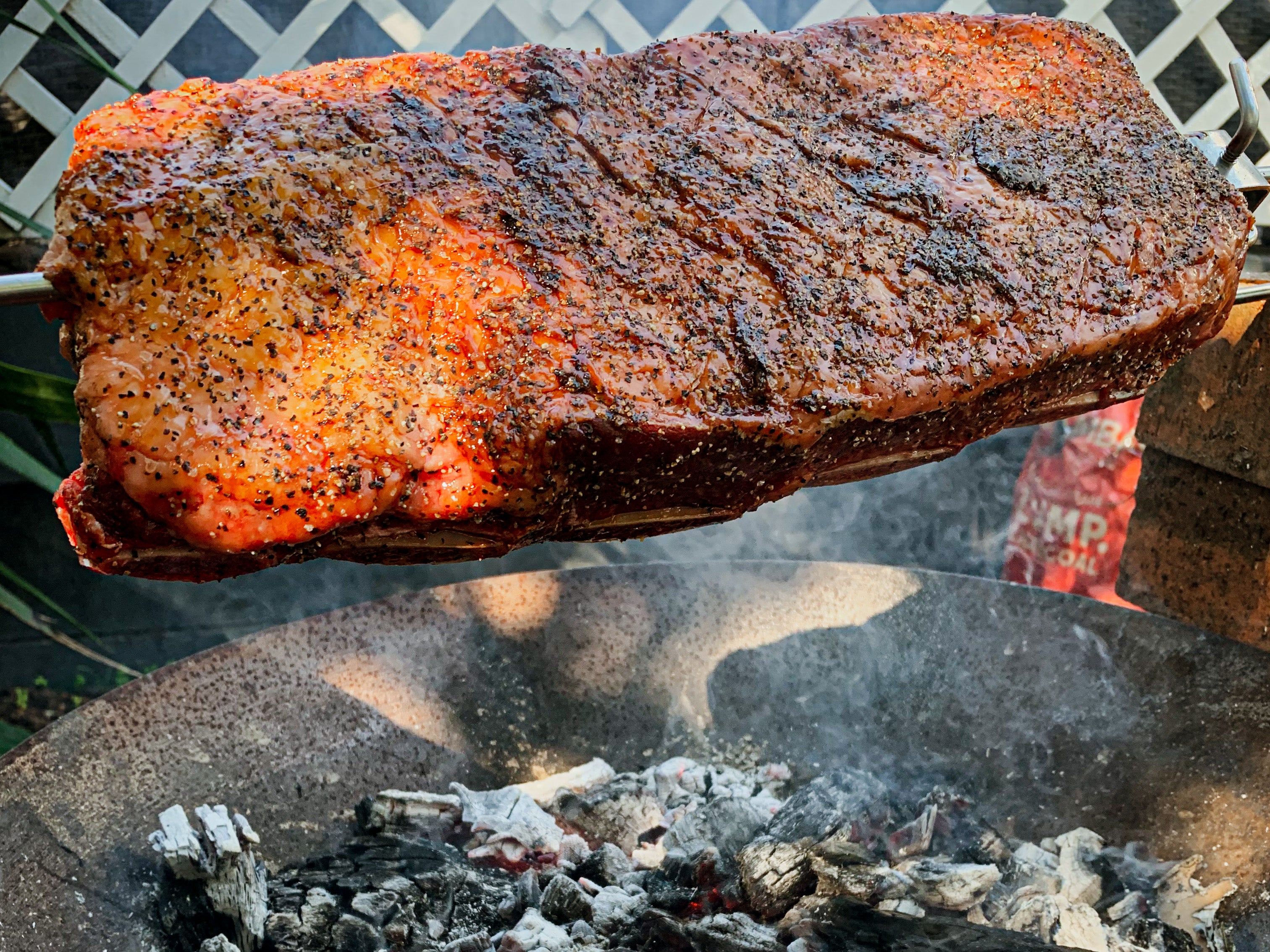 Short Rib Nz Beef Short Ribs | EspetoSul NZ